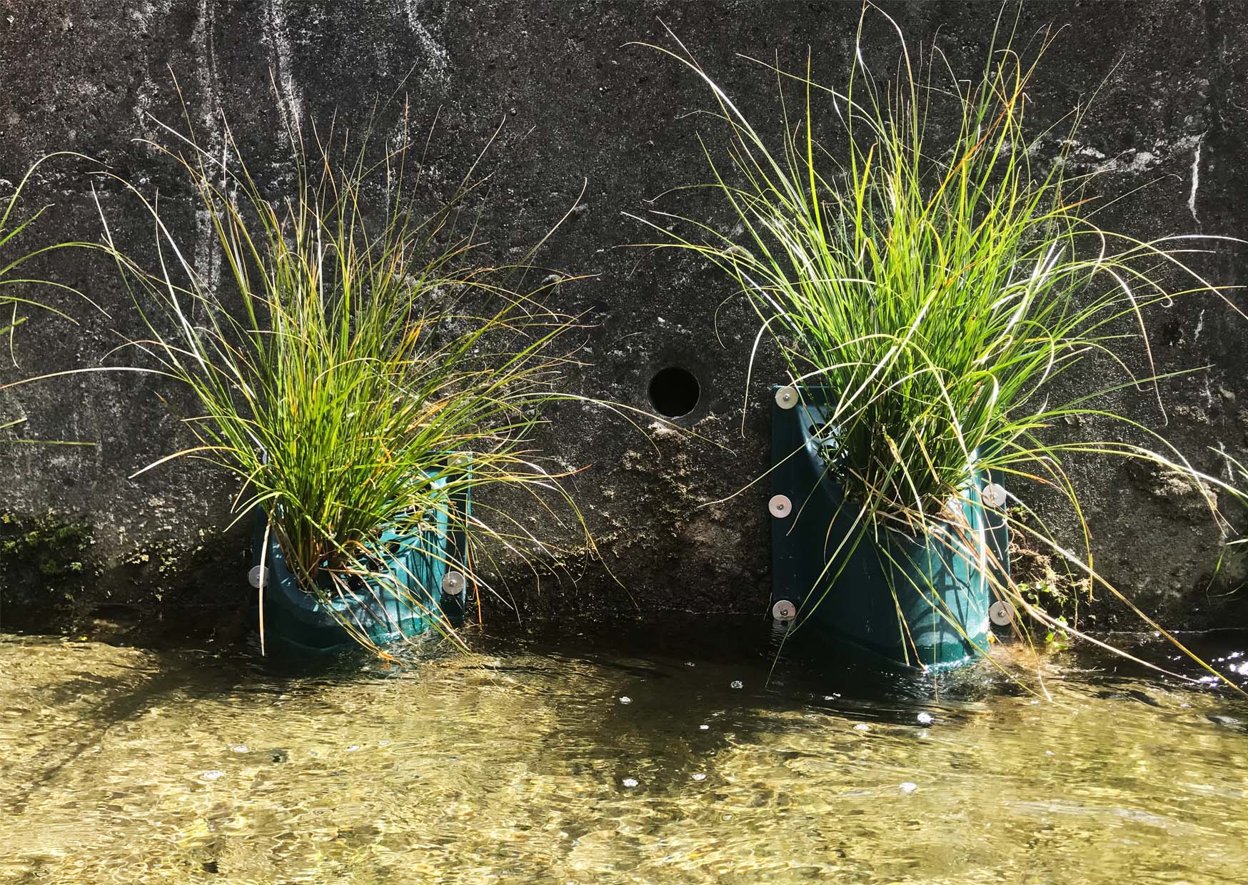 PLANTER_PODS_ATS_ENVIRONMENTAL